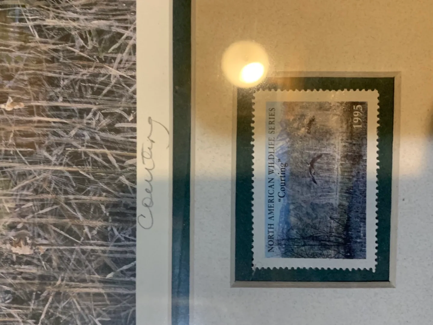 PRICE DROP Framed North American Wildlife Limited Edition Print thumbnail