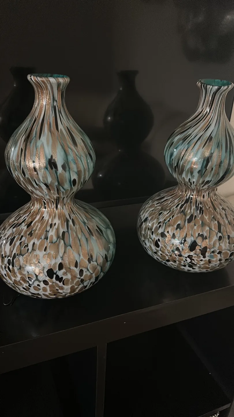 Set of 2 Decorative Vases thumbnail