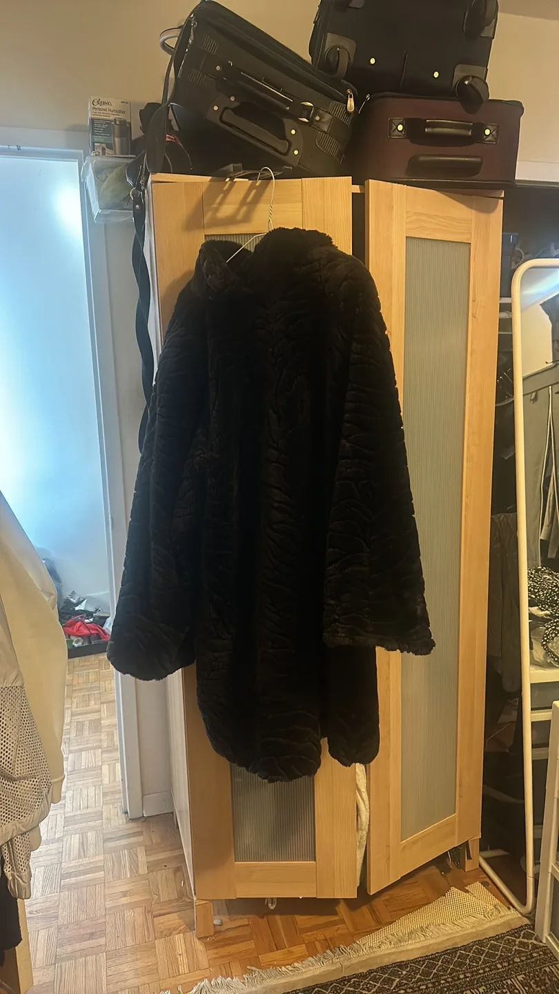 Brown Fur Coat image indicator(4)