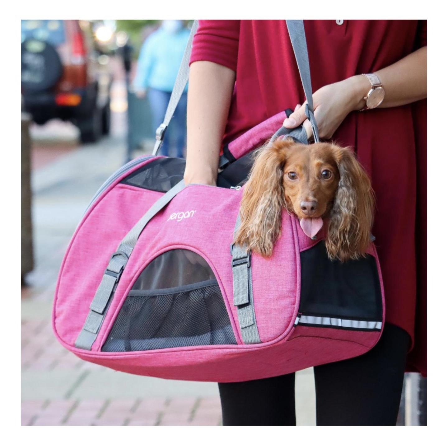 Bergan Pet Carrier (Small) - photo 5
