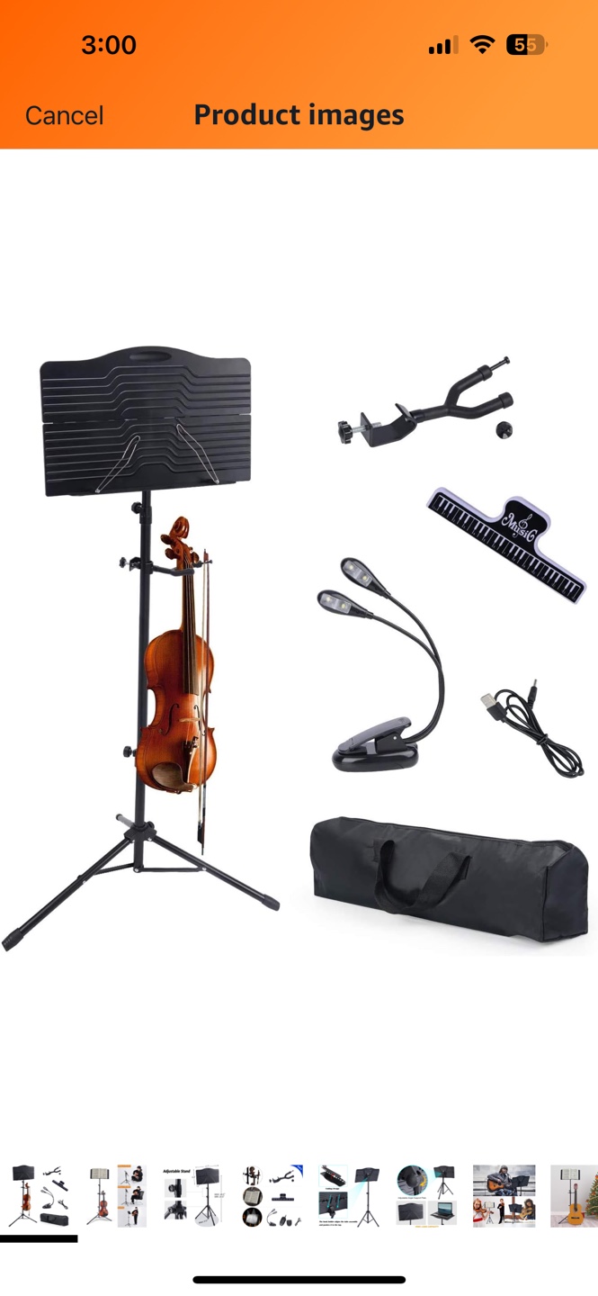 Musical Instrument Stand with Light & Carrying Case