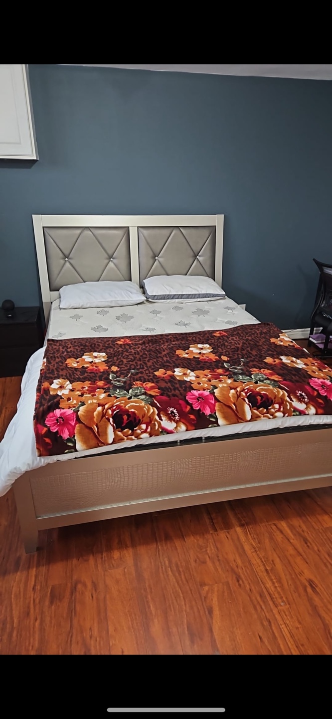 Queen Size Bed Frame + supporter + mattress