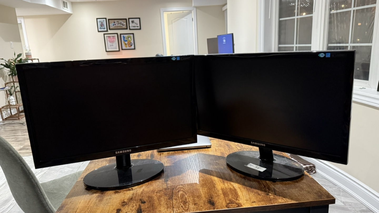 Samsung 20 Inch Monitor (2x)