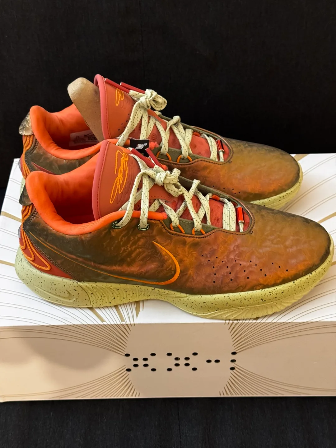 Nike LeBron XX-I Size 9.5 image indicator(4)