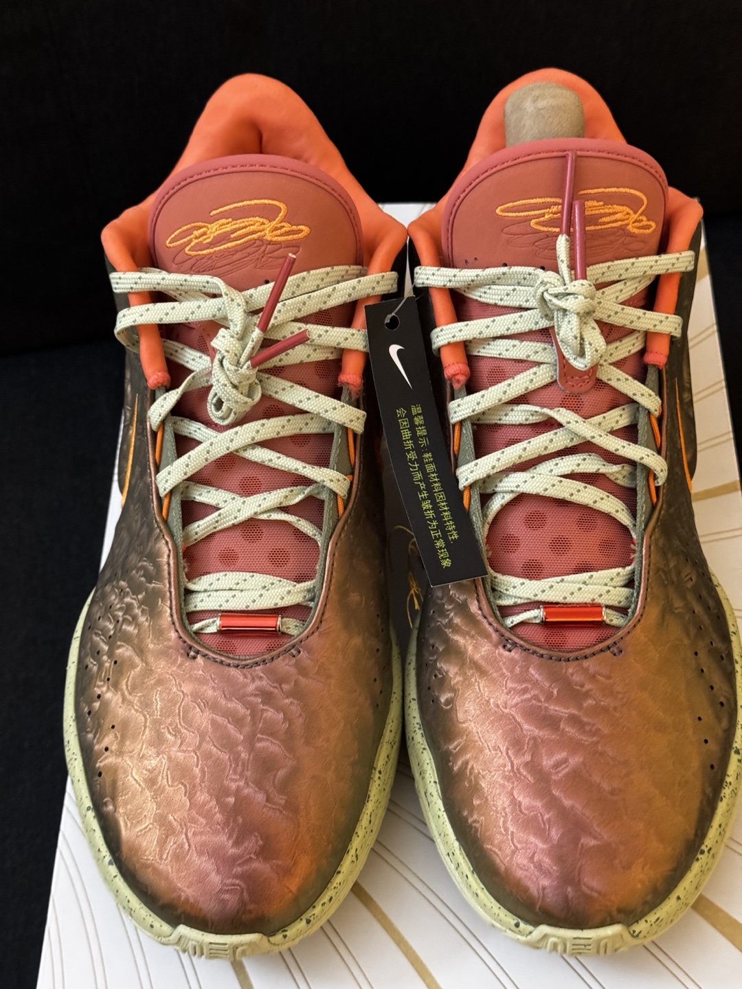 Nike LeBron XX-I Size 9.5