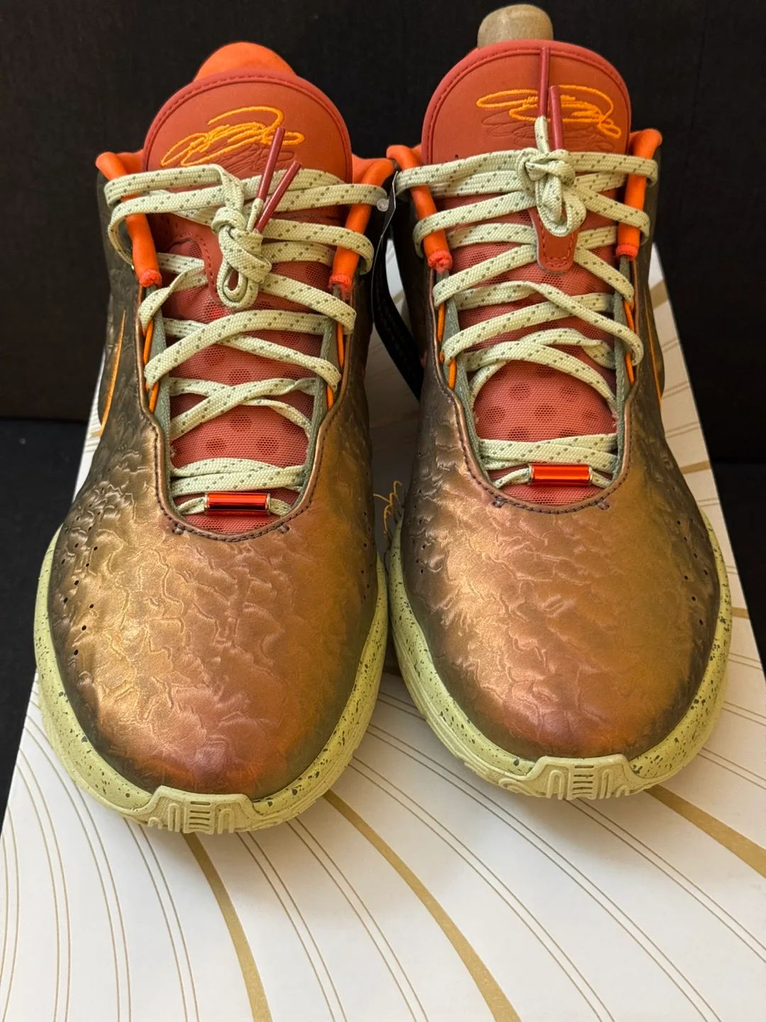 Nike LeBron XX-I Size 9.5 image indicator(5)