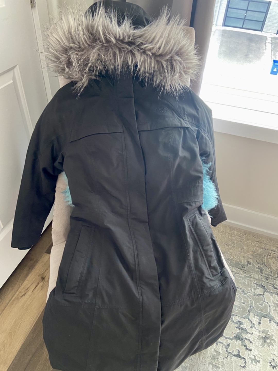 The North Face Women's Winter Jacket