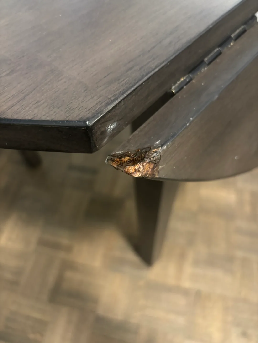 Round Drop Leaf Table image indicator(5)