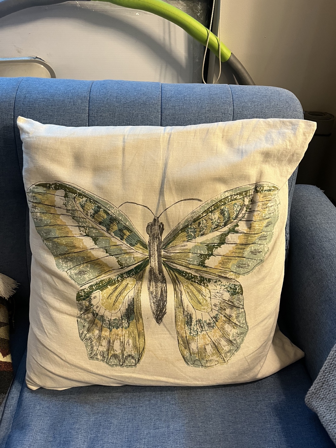 Decorative Pillow with Butterfly Design