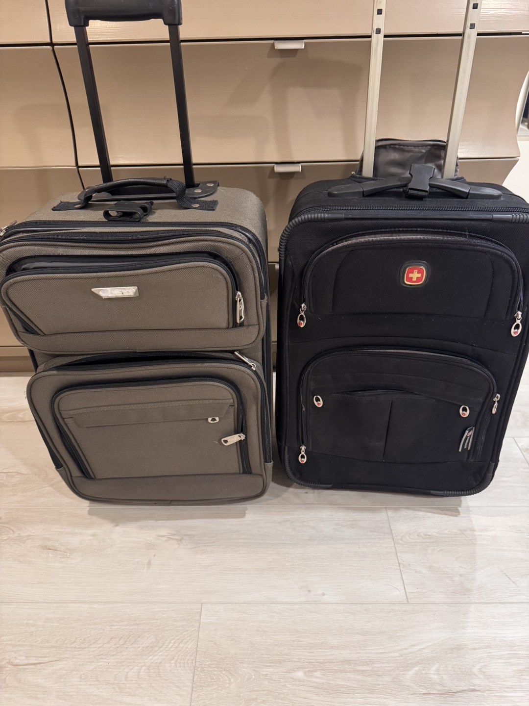 Set of 2 Luggage Suitcases