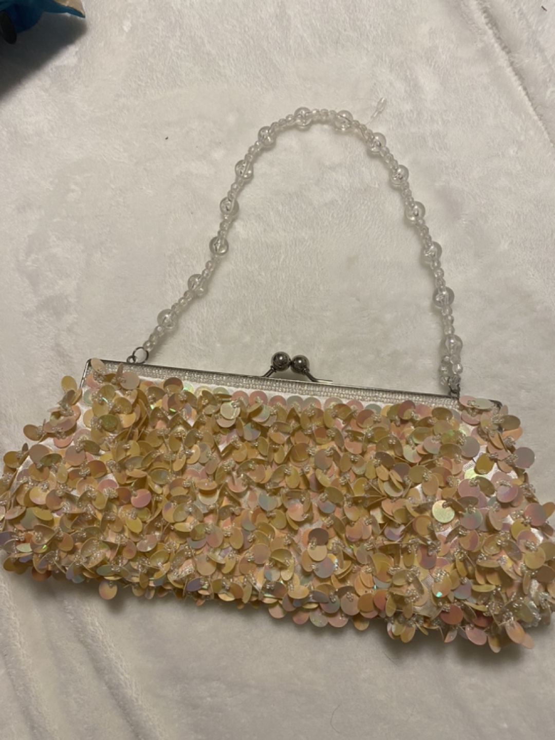 Sequin Clutch Purse