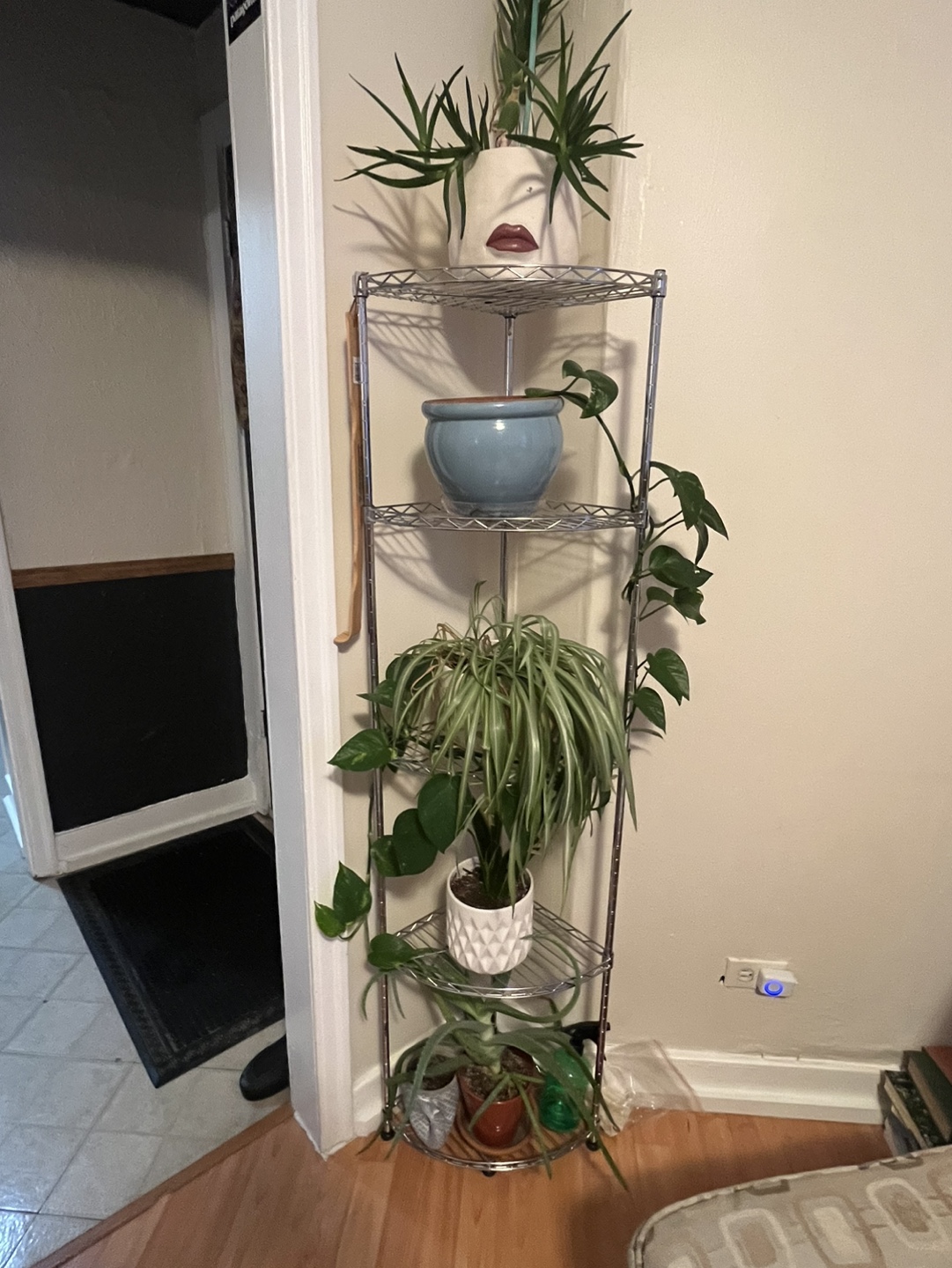 Corner Shelf Unit