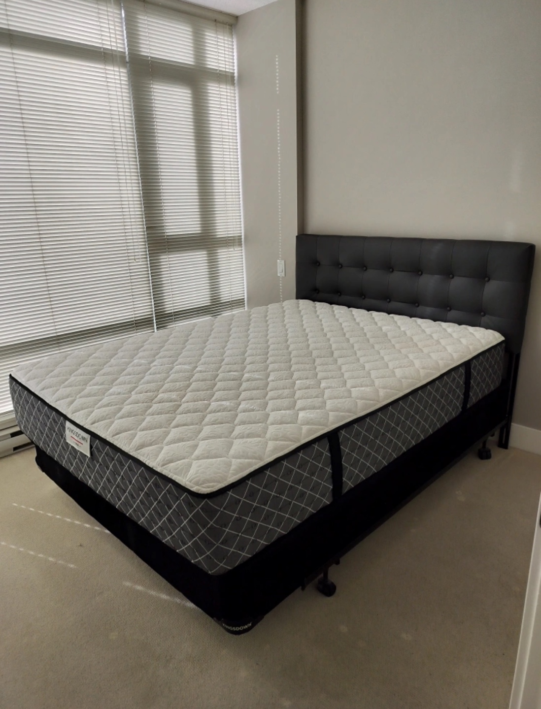 Head board and Metal Frame only