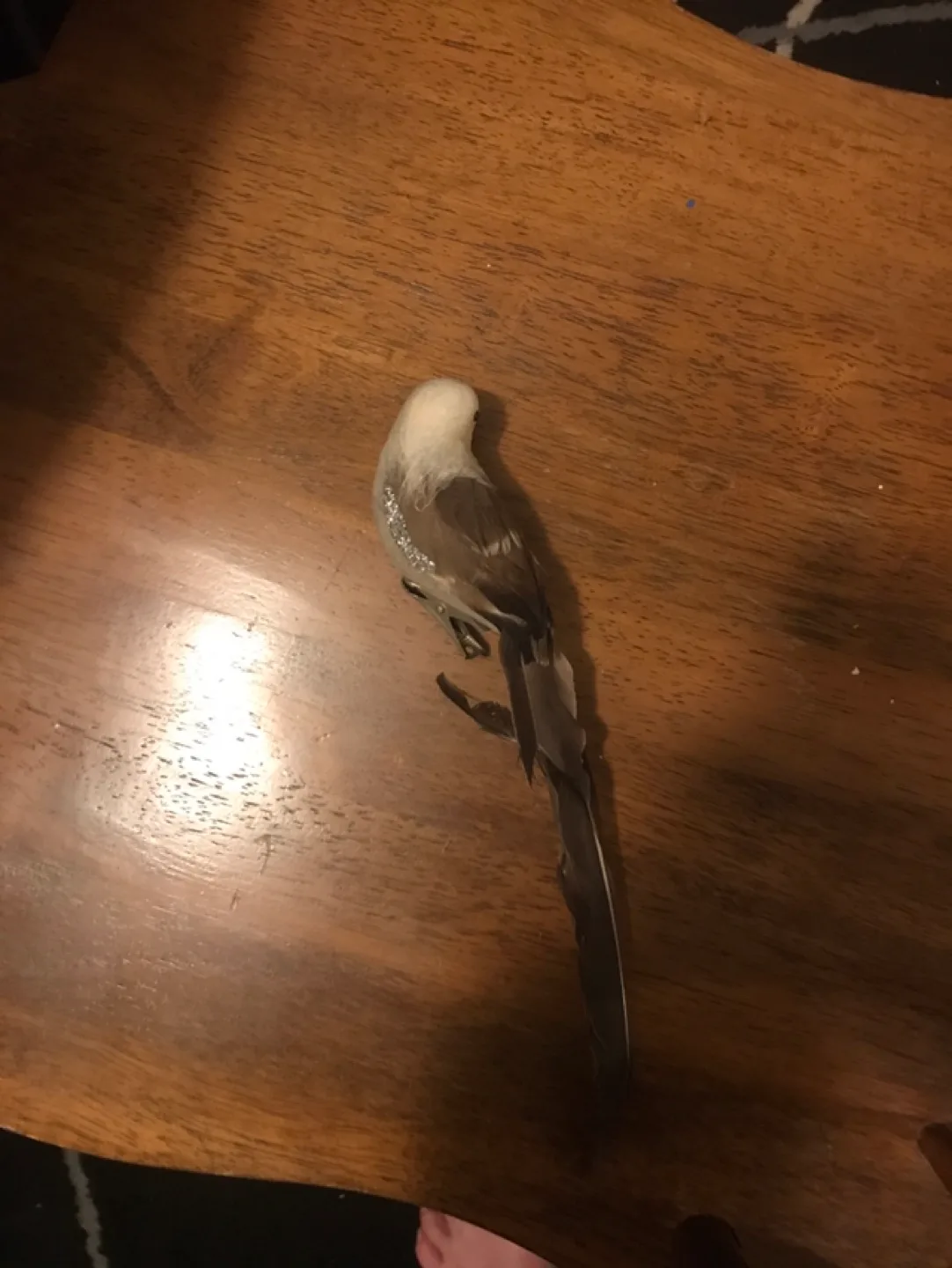 Bird Figurine with clip image indicator(2)
