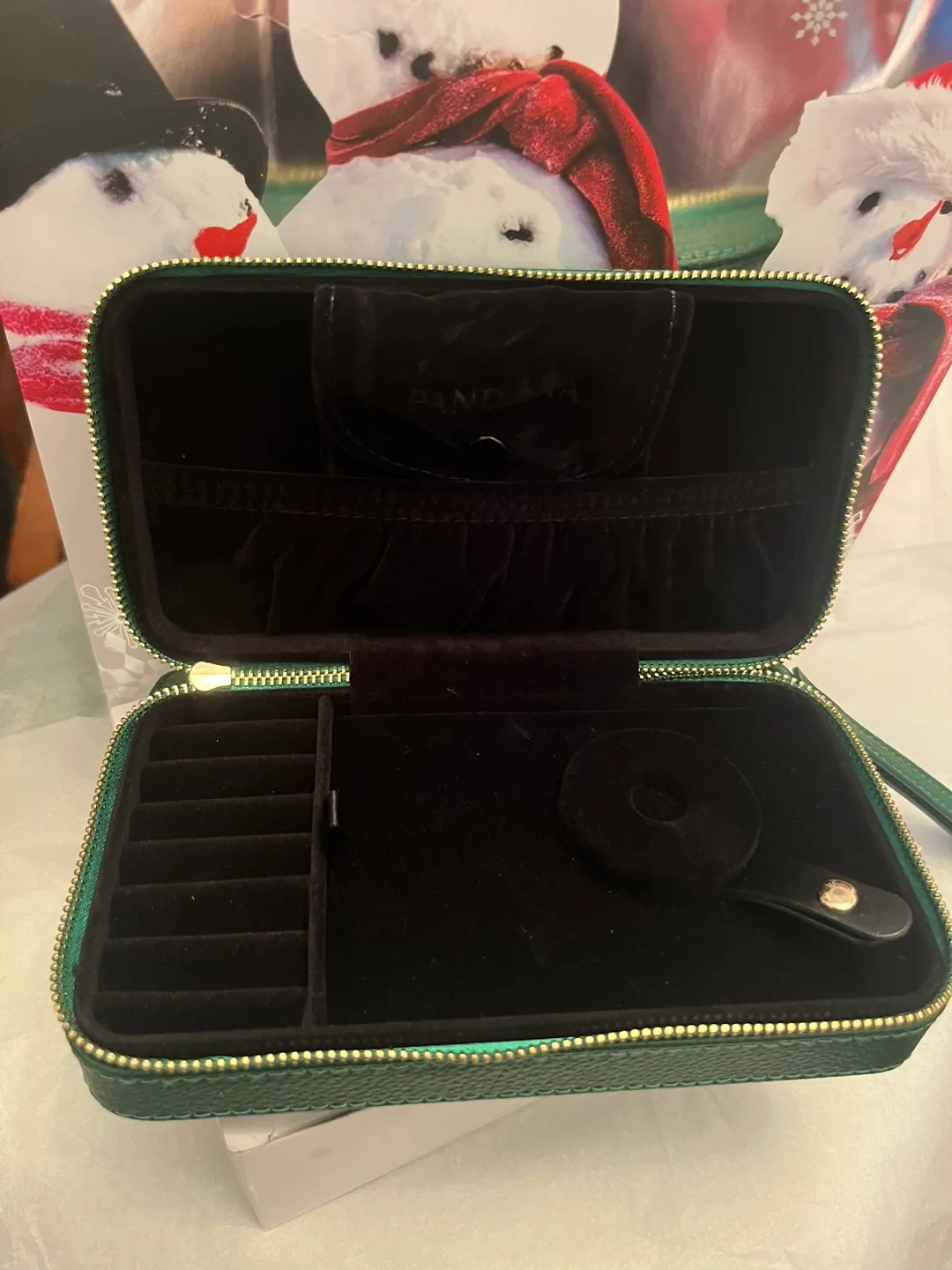 Pandora Green Holly Jewelry Travel Case image indicator(3)