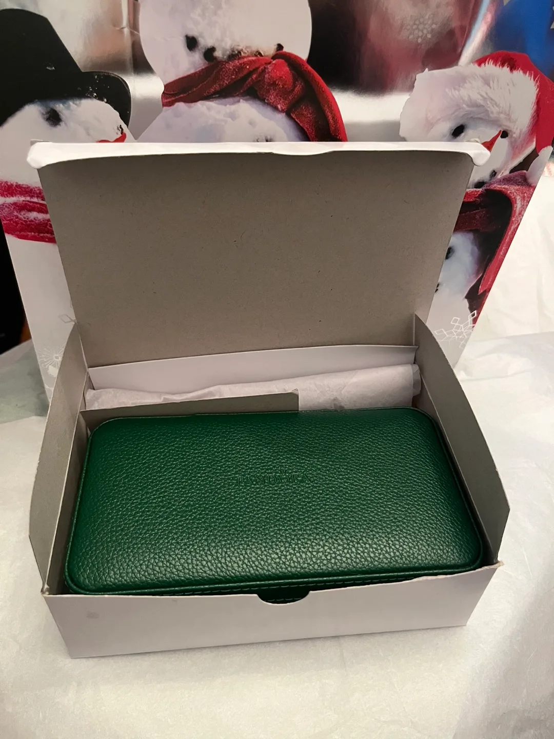 Pandora Green Holly Jewelry Travel Case image indicator(2)