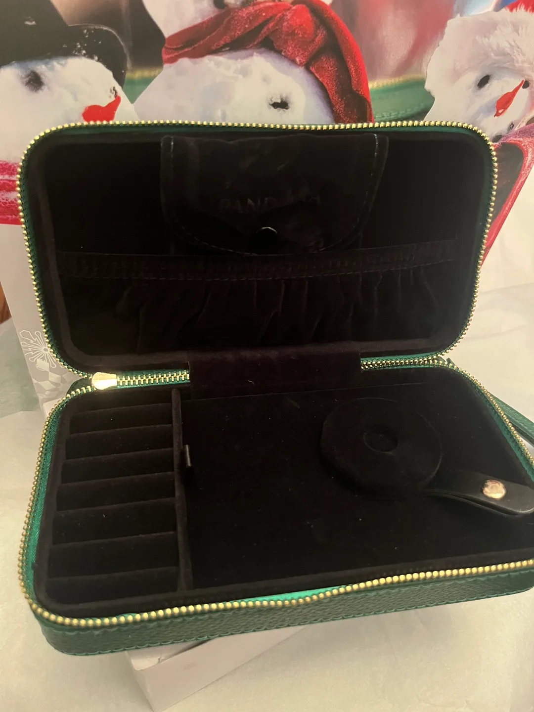 Pandora Green Holly Jewelry Travel Case image indicator(4)