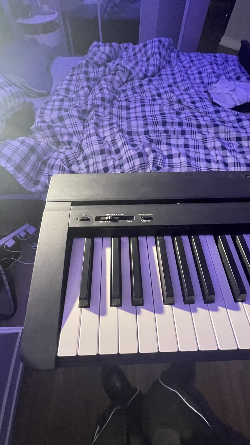 Yamaha P-45 Digital Piano - photo 3