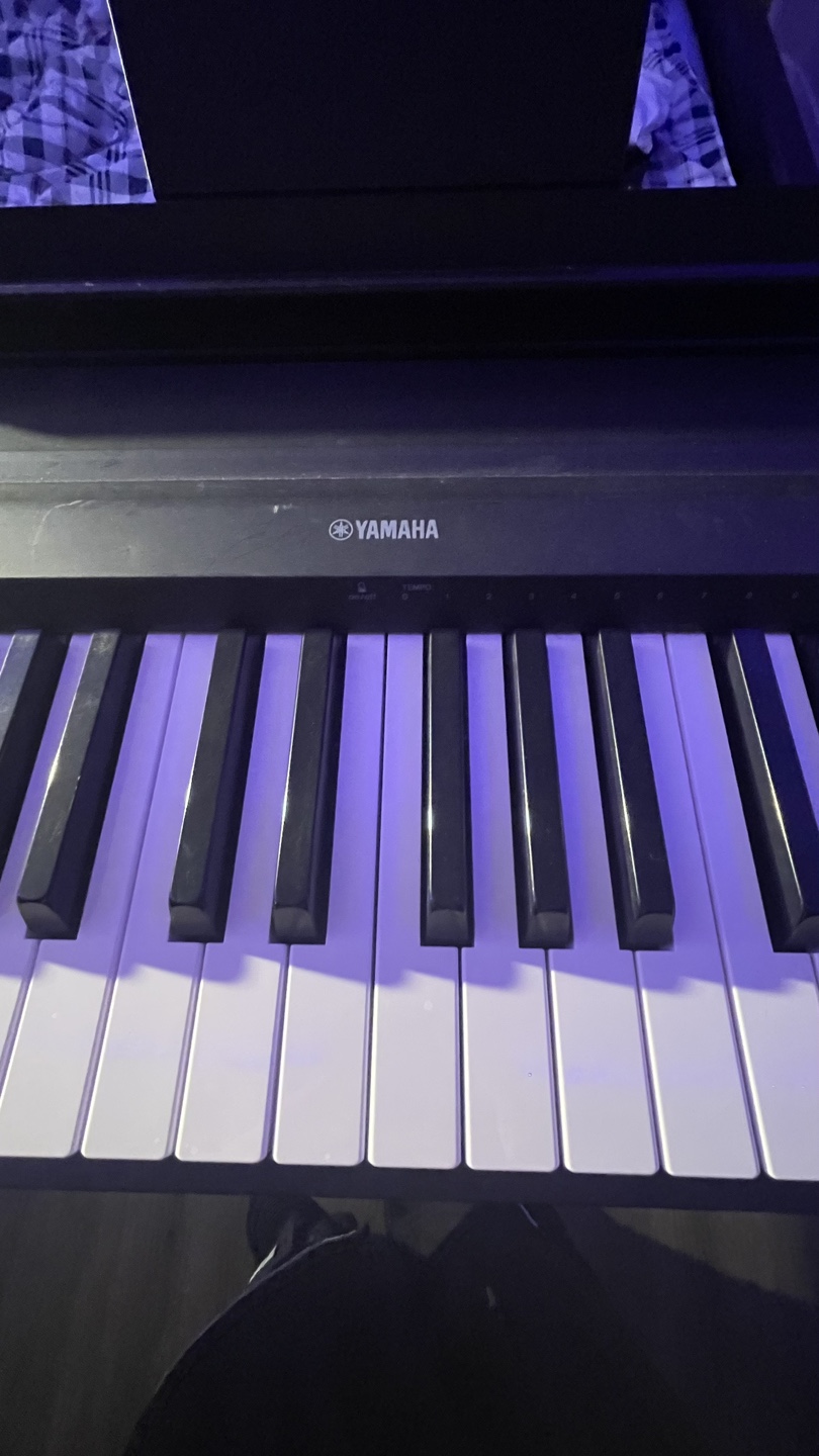 Yamaha P-45 Digital Piano - photo 5