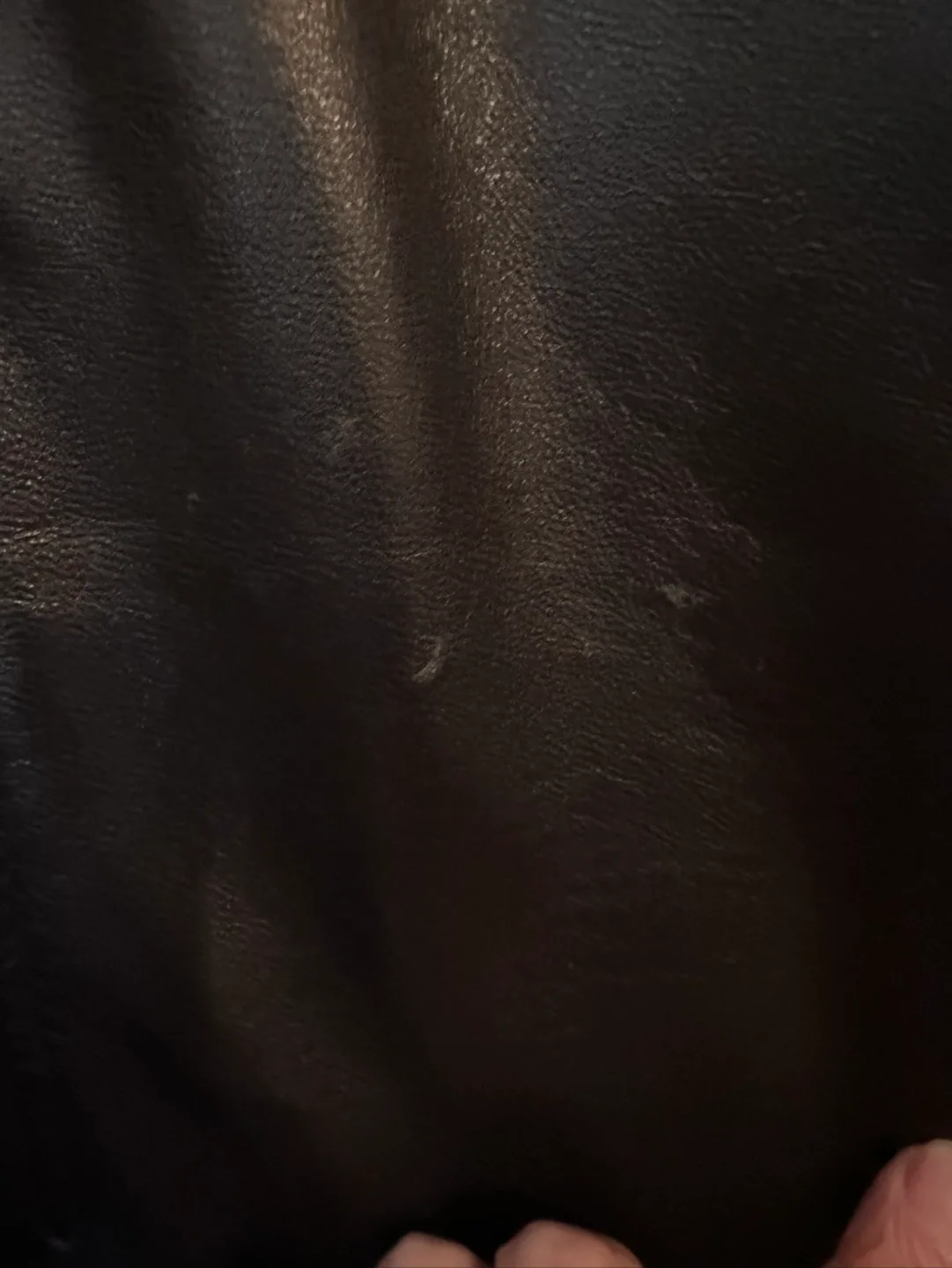 Women’s DC Collection Leather Jacket image indicator(7)