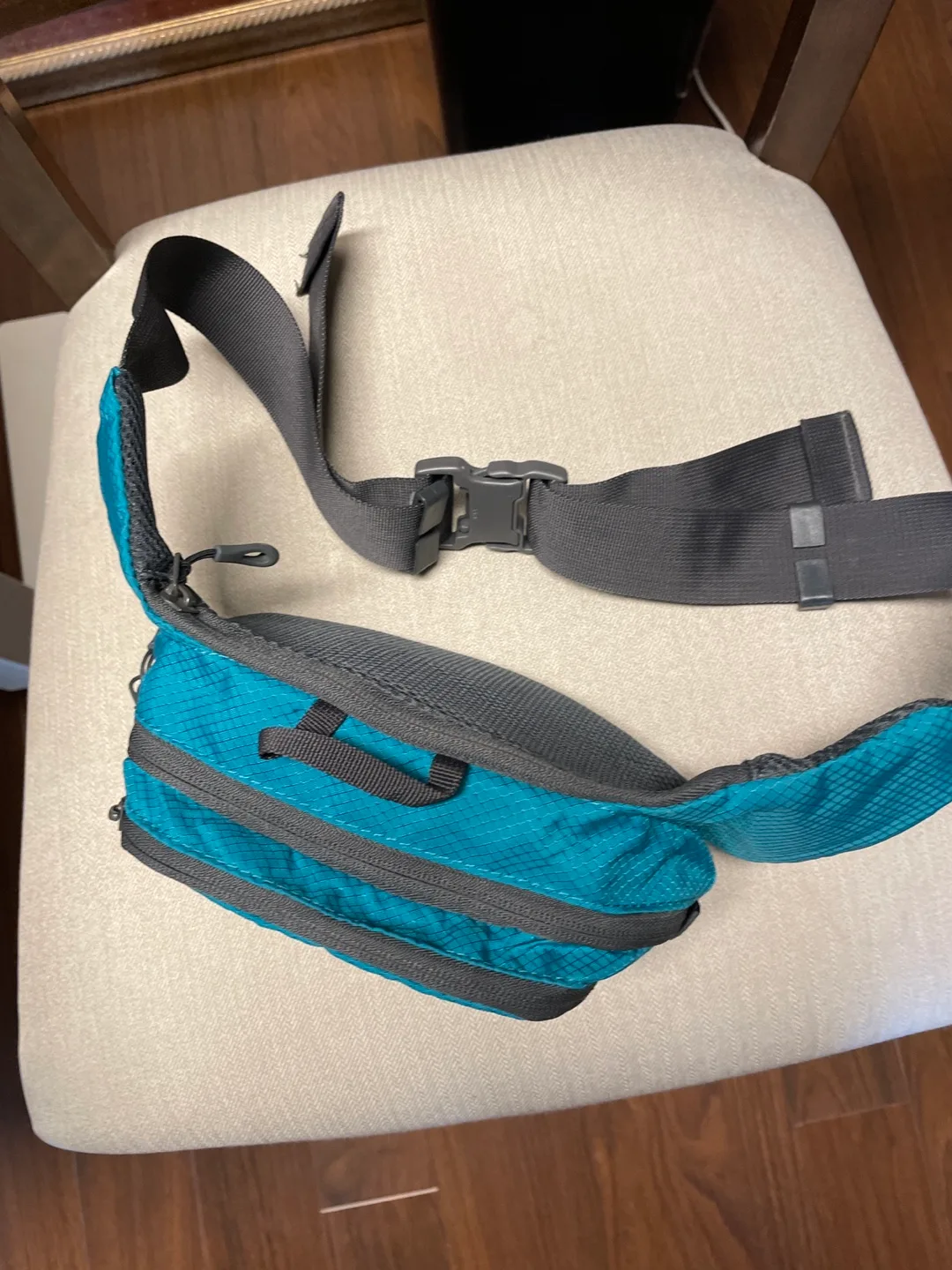 Blue Fanny Pack thumbnail