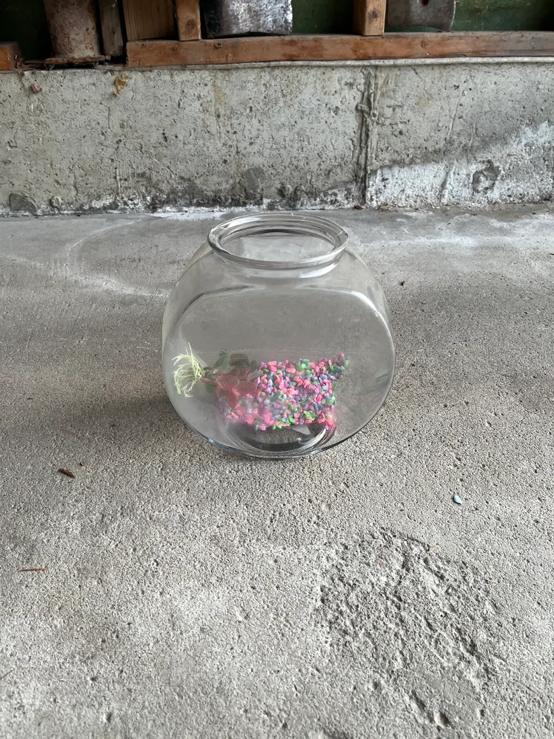 Small Glass Fish Bowl image indicator(2)