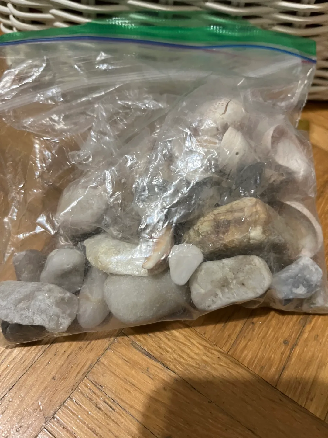 Seashells and stones image indicator(2)