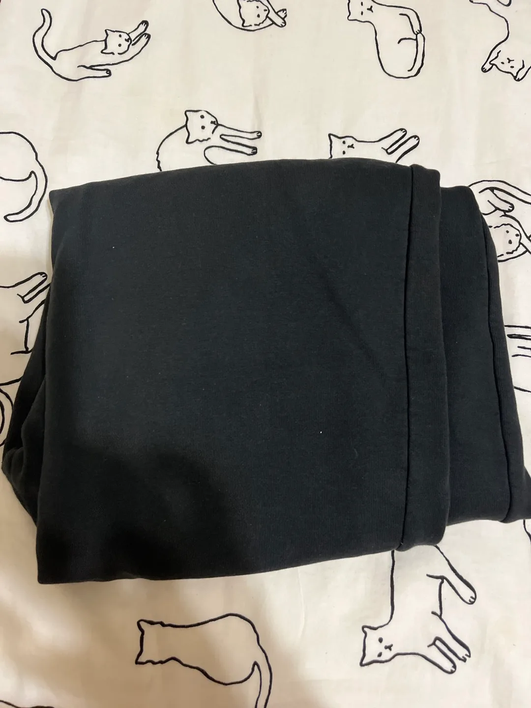 Brandy Melville Black Sweatpants image indicator(3)