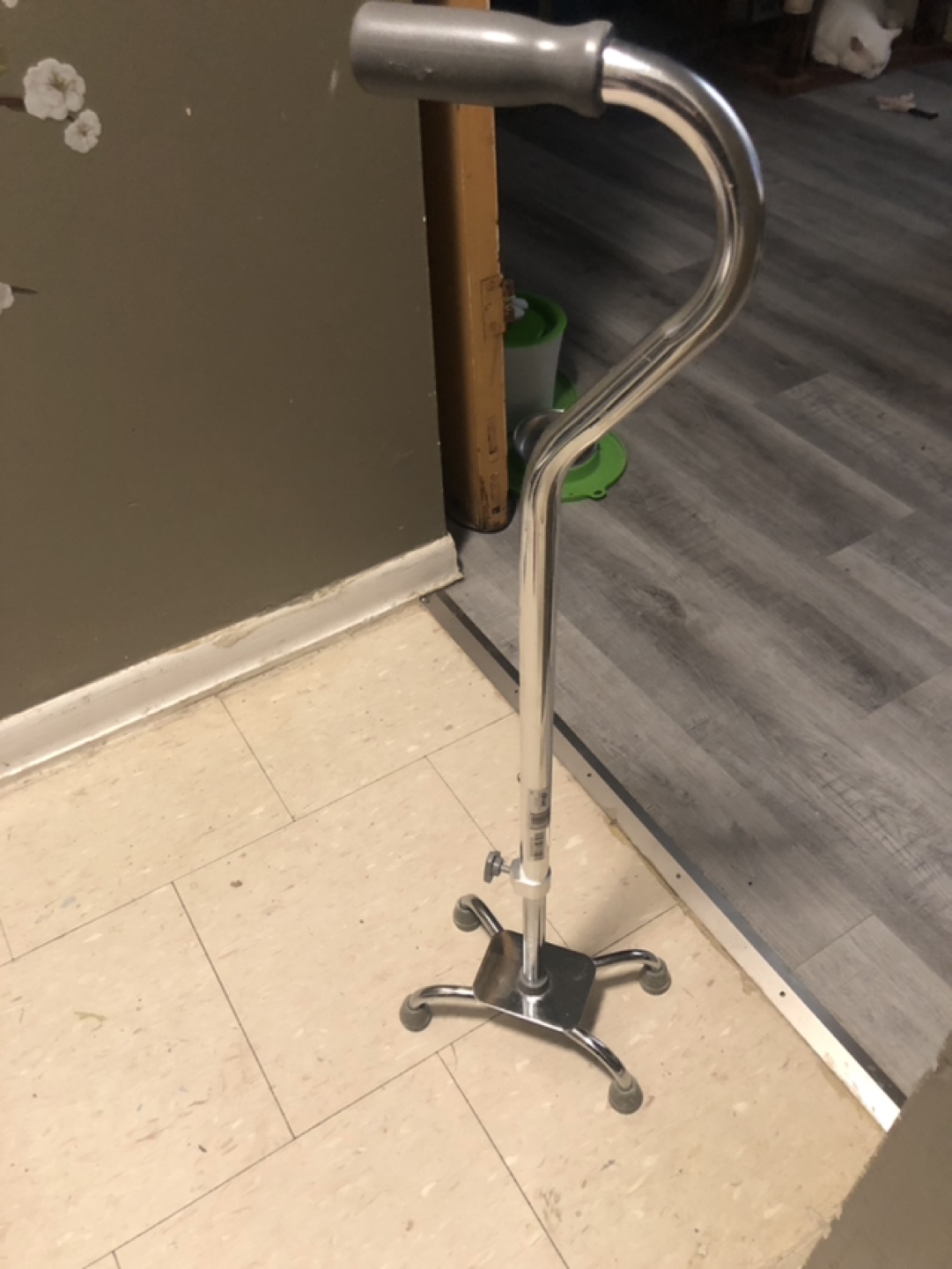 Drive Quad Cane