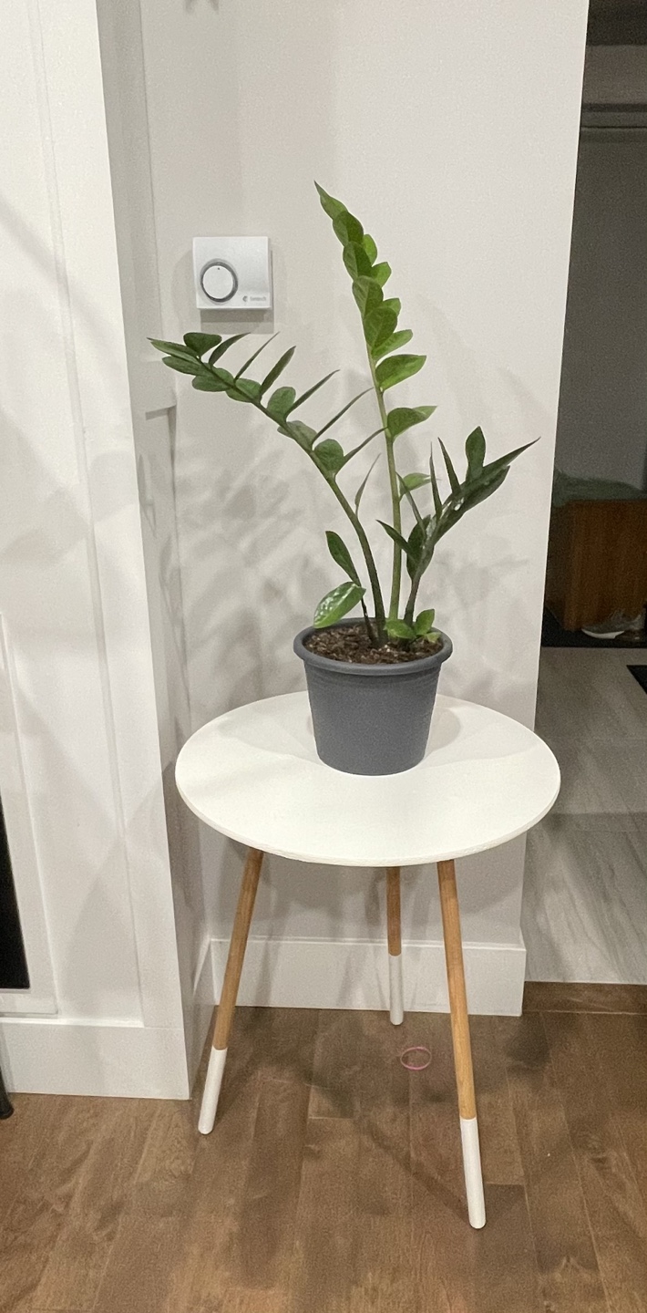 White Side Table - photo 4