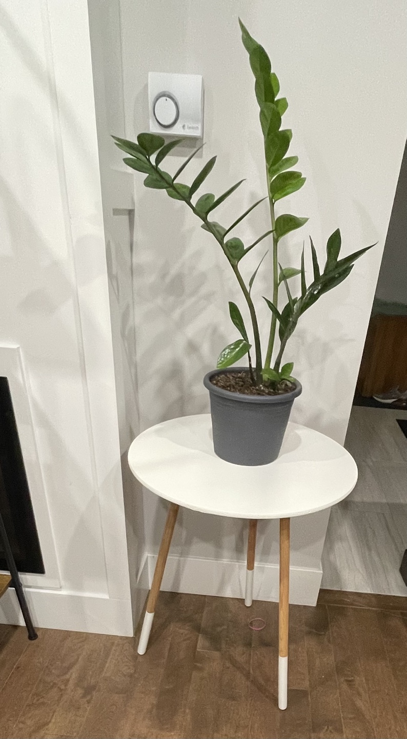 White Side Table - photo 5