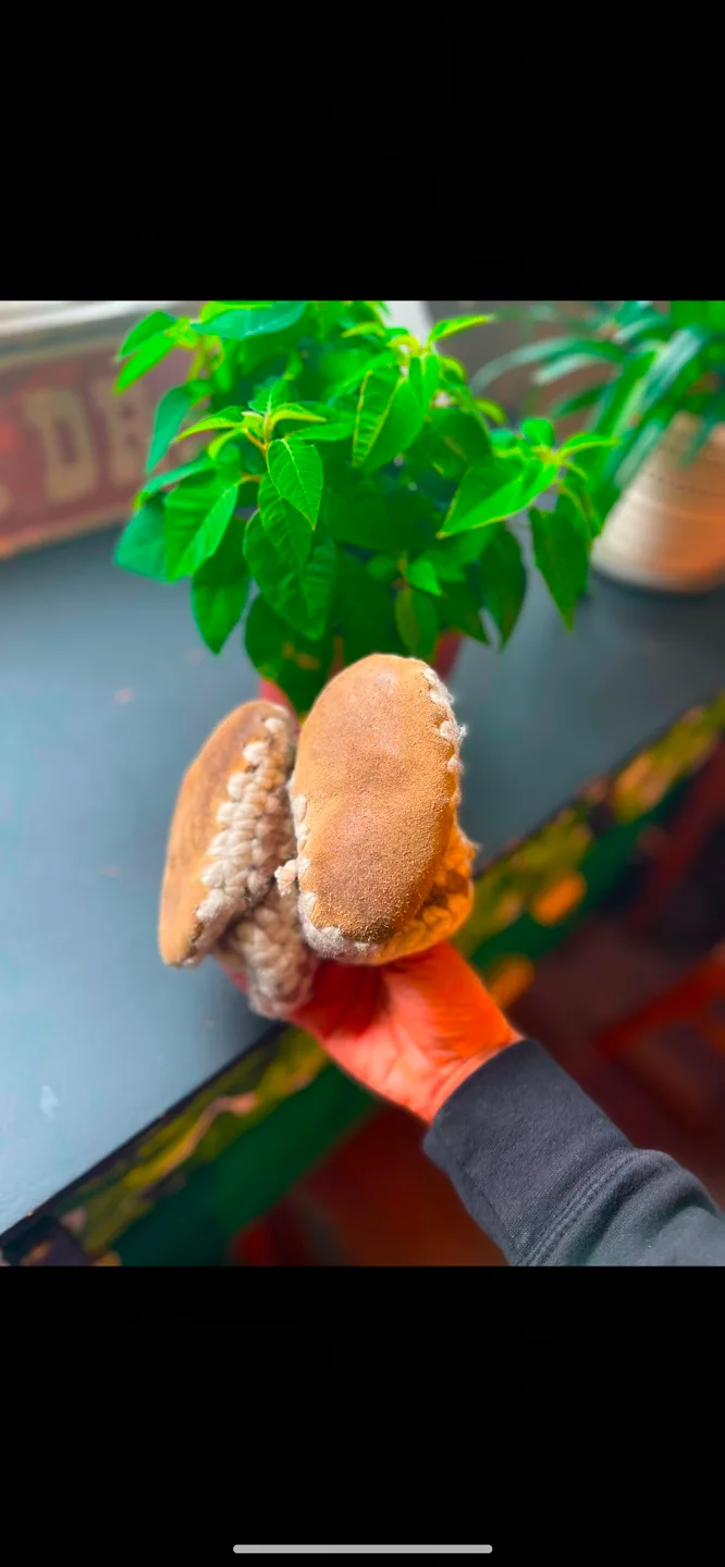 Baby Padraig Moccasins image indicator(2)