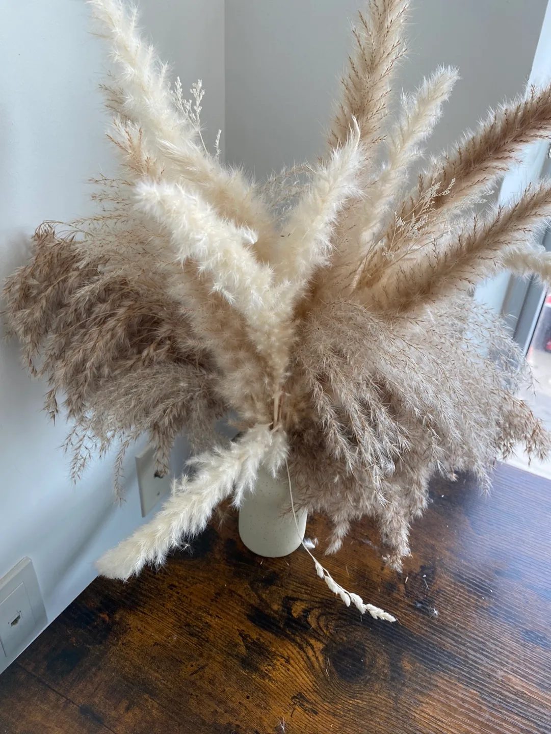 Pampas Grass Arrangement thumbnail