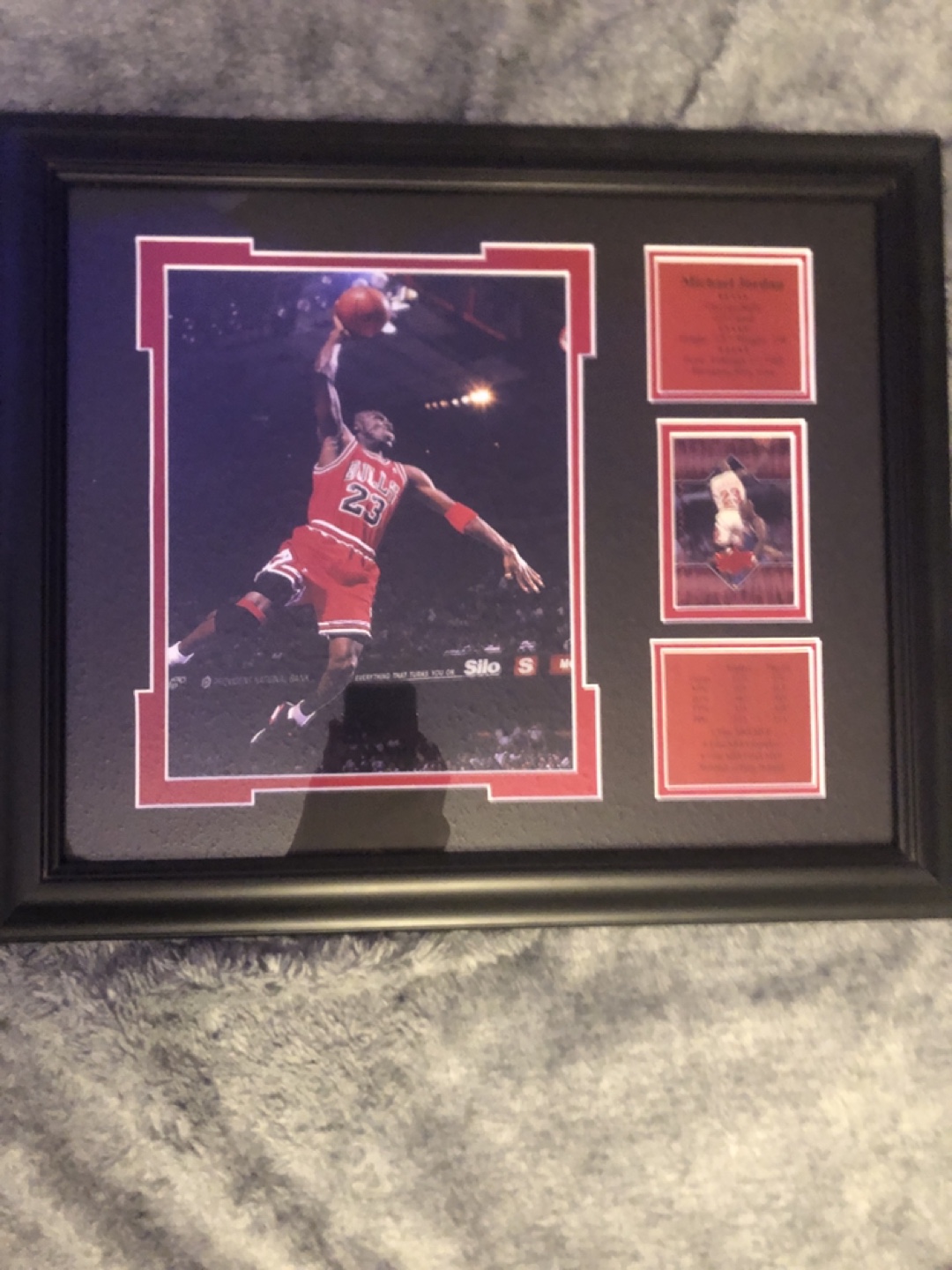 Michael Jordan Framed Photo