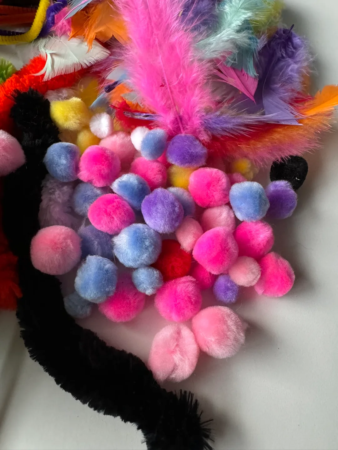 Craft Supplies - Feathers, Pipe Cleaners, Pom-poms image indicator(3)