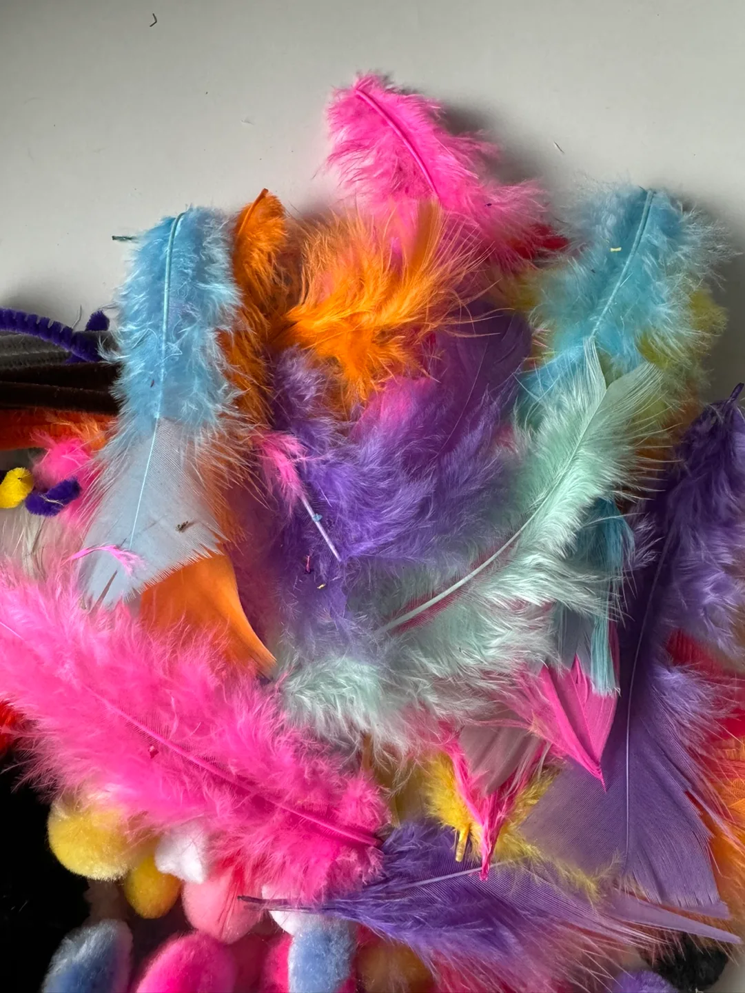 Craft Supplies - Feathers, Pipe Cleaners, Pom-poms image indicator(4)