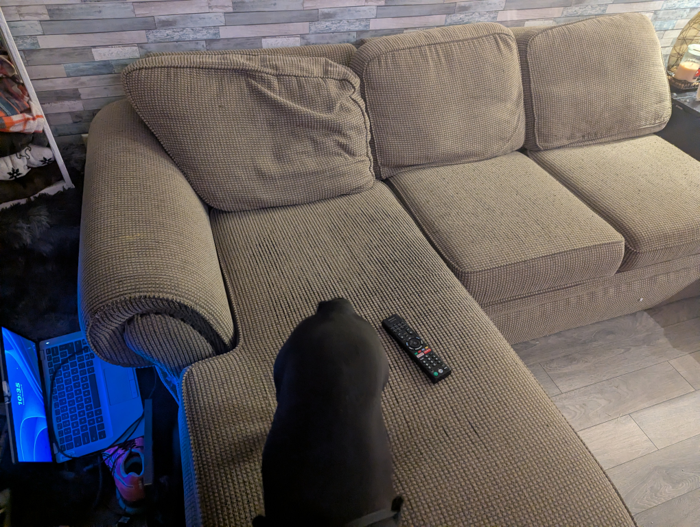 Free Sofa - photo 4