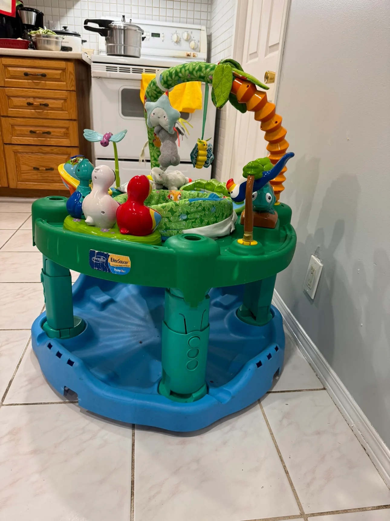 Baby Einstein Activity Saucer thumbnail