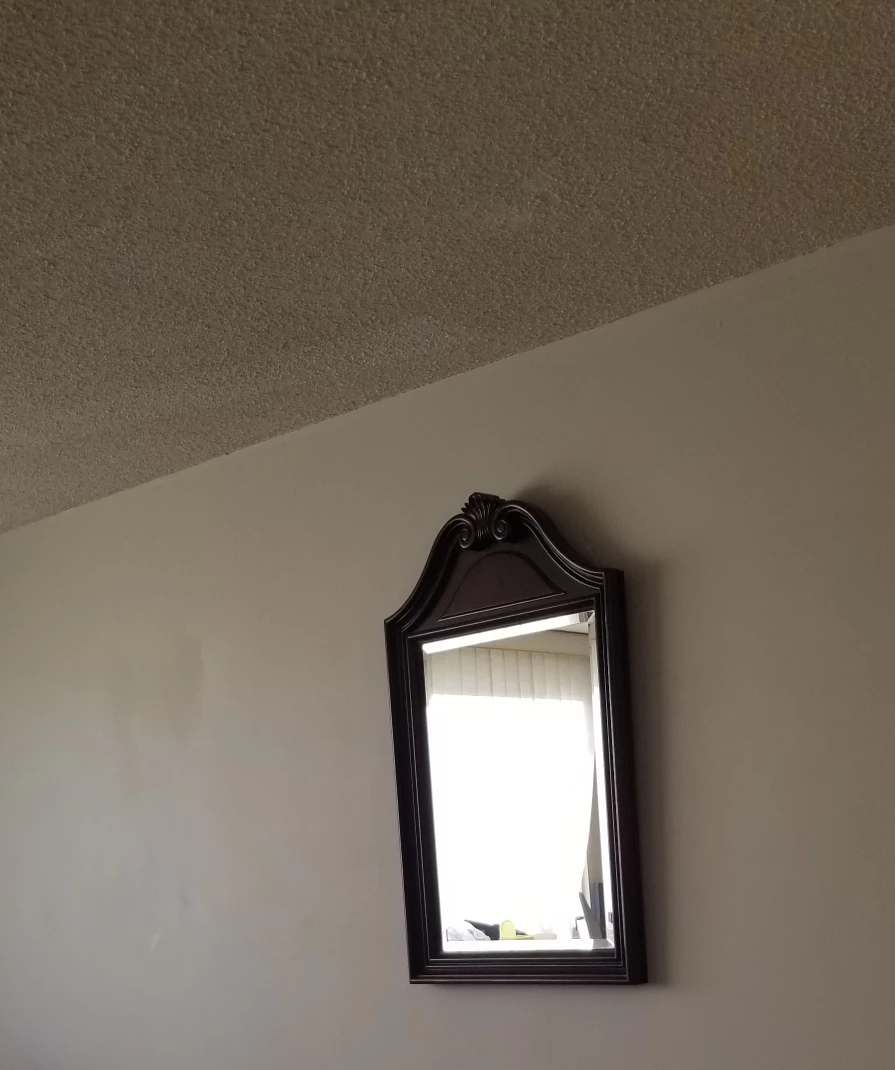 Ornate Wall Mirror