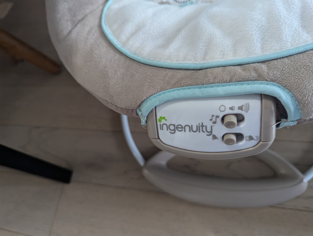 Ingenuity Baby Swing