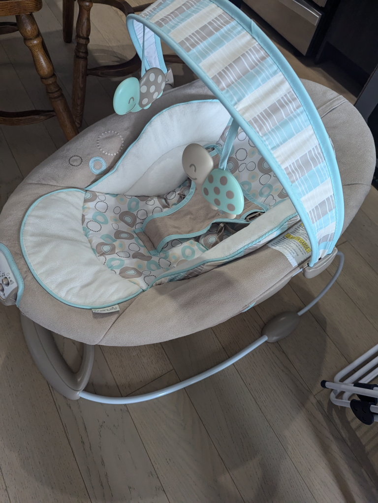 Ingenuity Baby Swing - photo 2