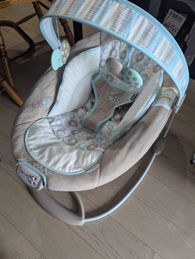 Ingenuity Baby Swing - photo 3