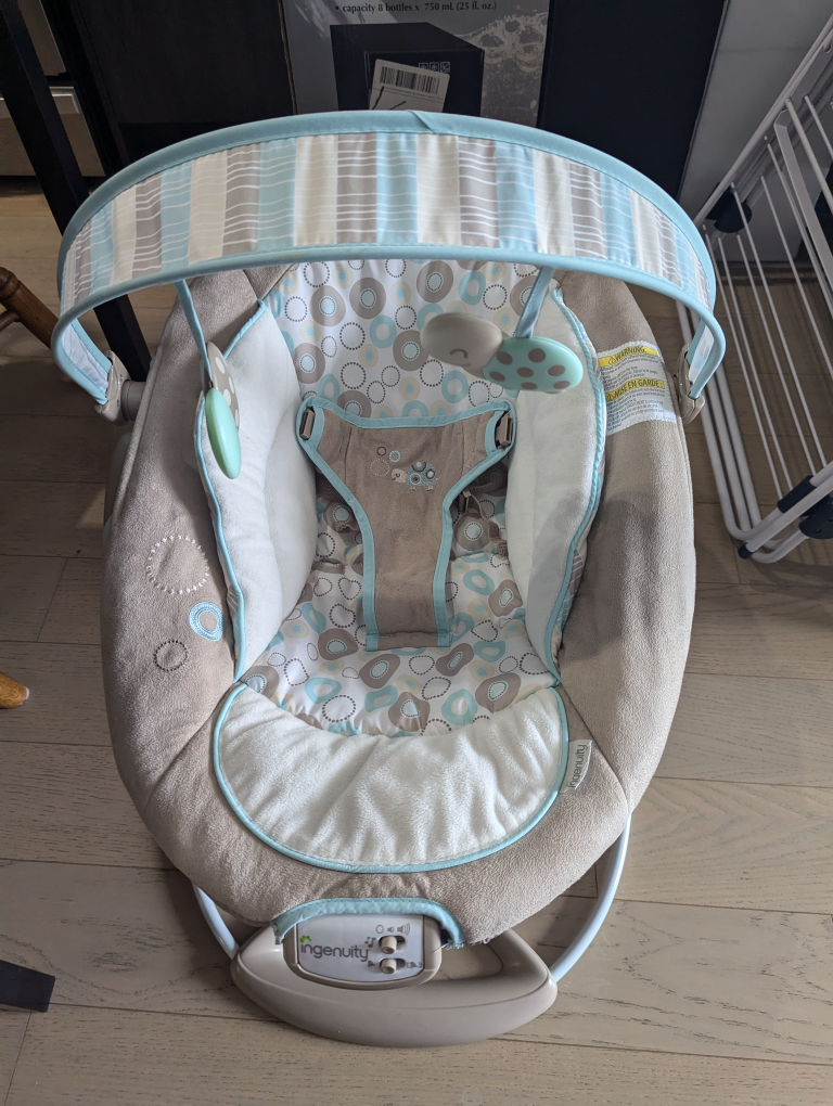 Ingenuity Baby Swing - photo 4