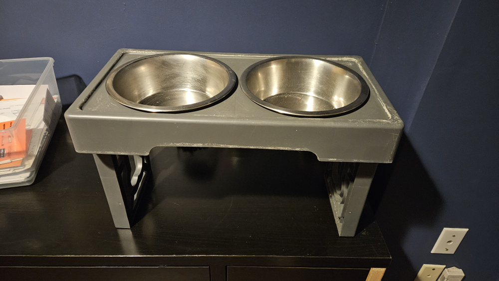 elevated dog dishes