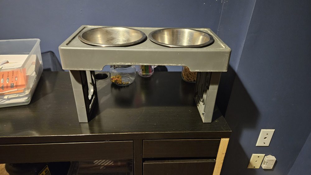 elevated dog dishes - photo 2