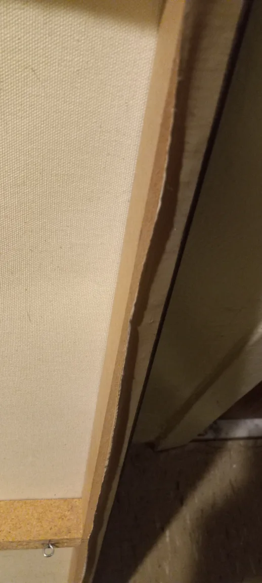 PAIR OF CANVAS LONG PICTUTES OF DIFFERNT FLOWERS image indicator(2)