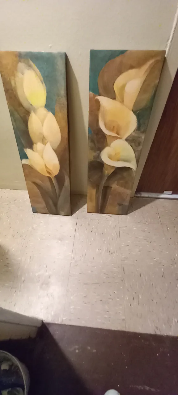 PAIR OF CANVAS LONG PICTUTES OF DIFFERNT FLOWERS image indicator(4)