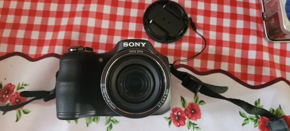 Sony Cyber-shot DSC-H200 Digital Camera image indicator(2)