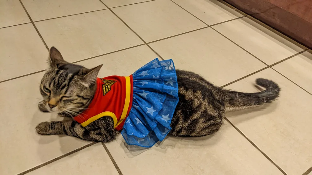small pet wonder woman costume 🧡 image indicator(8)