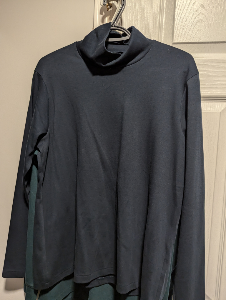 Navy Blue Turtleneck (Uniqlo)